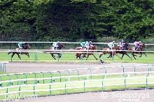 Prix de Diane Longines Chantilly PMU Partants et Pronostics