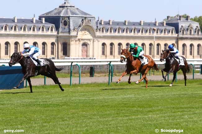 Shalamba Performance Du 18 Mai 2020 A Chantilly Vs 24 Oct 2020 A Saint Cloud chantilly vs 24 oct 2020