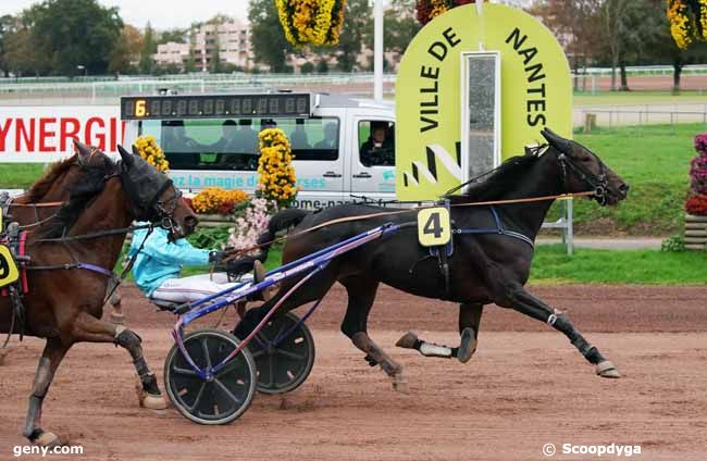 06/11/2019 - Nantes - Prix du Pmu le Speak Easy - Grand Prix des 3 ans : Result