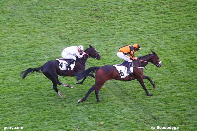 07/11/2021 - Auteuil - Prix Oénéas : Arrivée