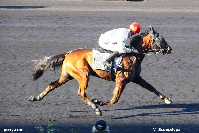 14/02/2023 - Vincennes - Prix de Romorantin : Arrivée