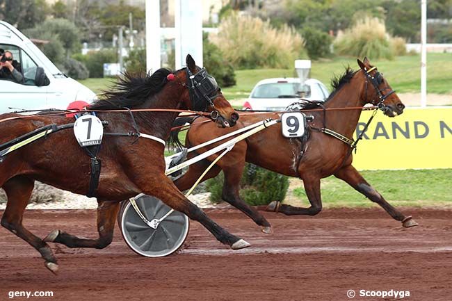 29/03/2023 - Marseille-Borély - Prix de Cagnes-sur-Mer : Arrivée