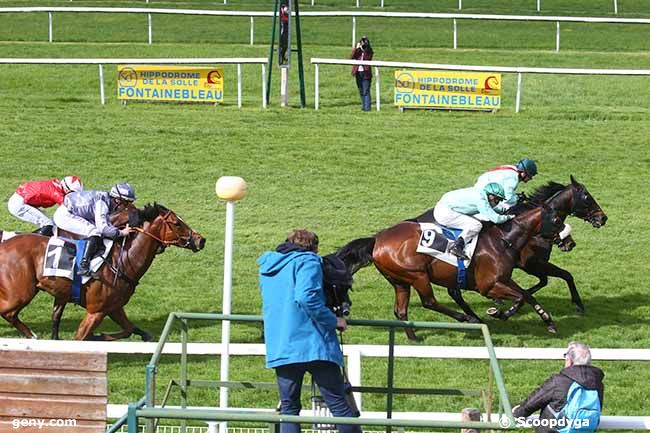 10/05/2023 - Fontainebleau - Prix du Rocher des Demoiselles : Arrivée