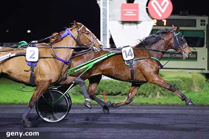 28/11/2023 - Vincennes - Prix Florentina : Arrivée