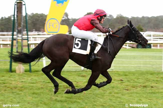 12/12/2023 - Fontainebleau - Prix Richard d'Ayguevives : Arrivée