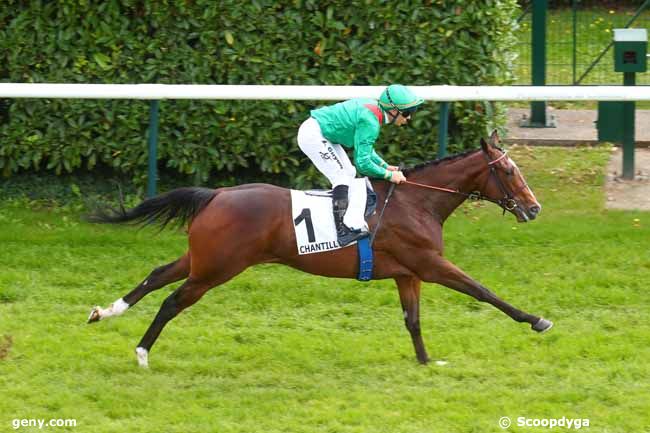 16/09/2024 - Chantilly - Prix de la Piste Rodosto : Arrivée