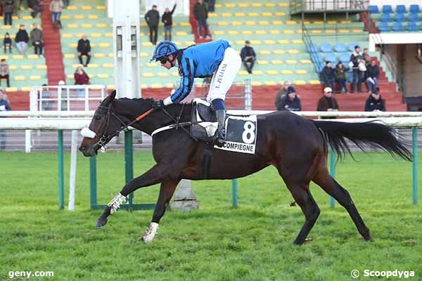 29/11/2024 - Compiègne - Prix Dandolo : Arrivée
