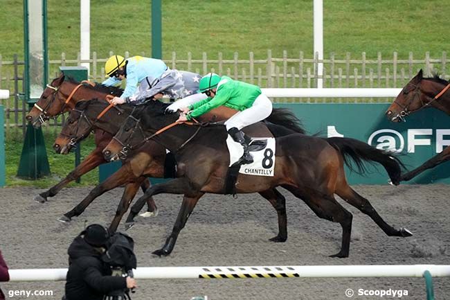 30/12/2024 - Chantilly - Prix des Canters : Arrivée