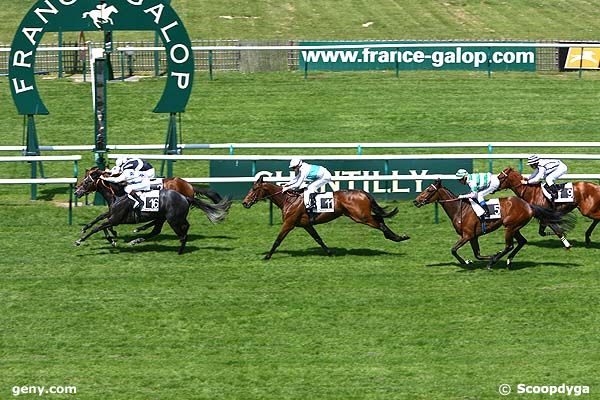 13/05/2008 - Chantilly - Prix de la Capitainerie : Result