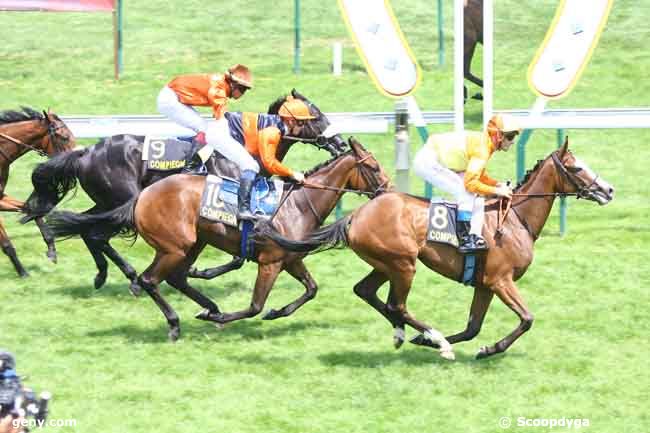 28/06/2011 - Compiègne - Prix de l'Ailette : Arrivée