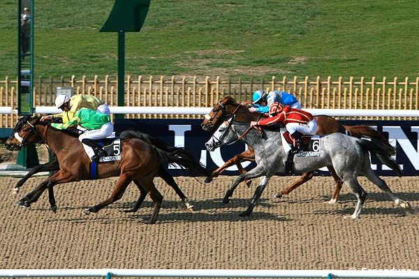 22/03/2012 - Chantilly - Prix du Bois de Perthe : Arrivée