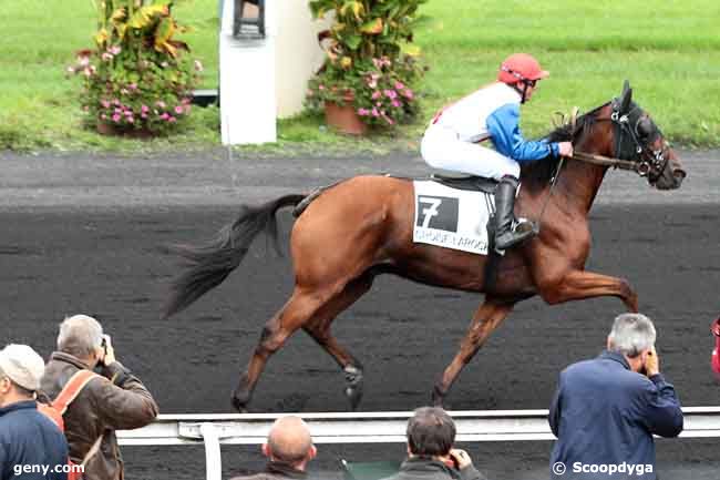 18/09/2013 - Le Croisé-Laroche - Prix d'Arras : Arrivée