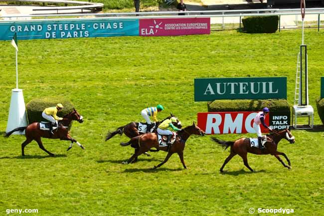 18/05/2014 - Auteuil - Prix Gras Savoye Hipcover - Prix Maréchal Foch : Result