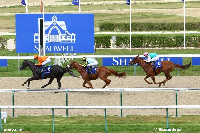 14/08/2015 - Deauville - Prix Muhtathir : Ankunft