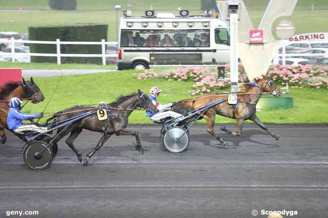 31/05/2016 - Vincennes - Prix Minerva : Arrivée