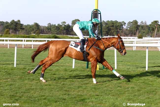 14/03/2017 - Fontainebleau - Prix de Nemours : Arrivée