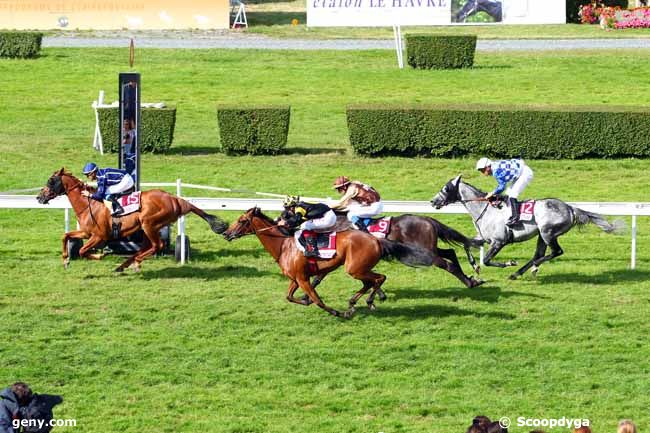 18/08/2017 - Clairefontaine-Deauville - Prix de la Mare aux Canards : Ankunft