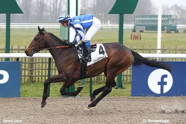 11/02/2023 - Chantilly - Prix du Chêne des Trois Frères : Arrivée