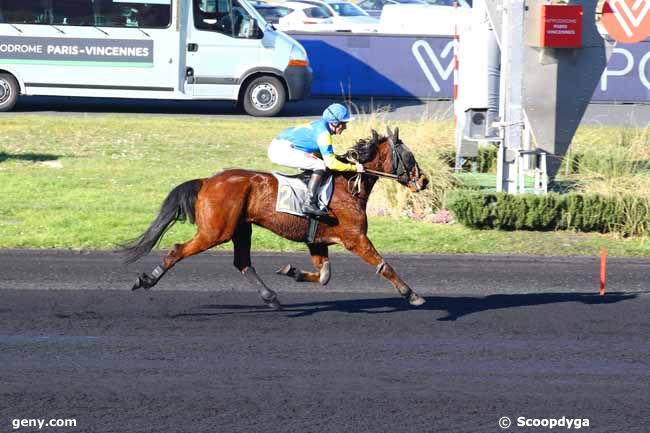 14/02/2023 - Vincennes - Prix de Colmar : Arrivée