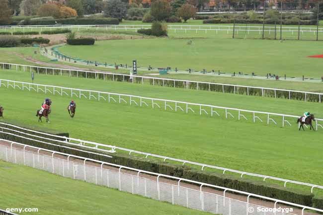 30/10/2023 - Saint-Cloud - Prix Isola Bella - Fonds Européen de l'Elevage : Arrivée