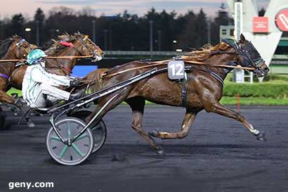 28/11/2023 - Vincennes - Prix de Jullouville : Arrivée