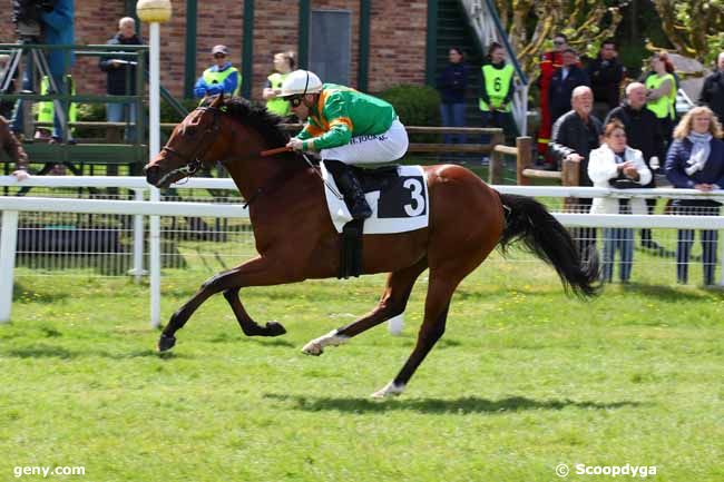 03/05/2024 - Fontainebleau - Prix des Alisiers : Arrivée