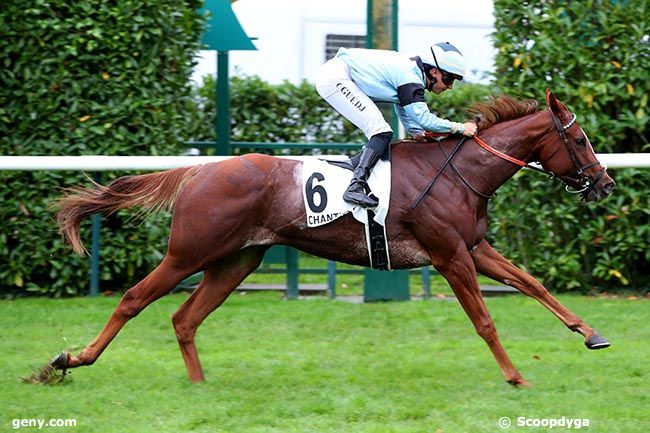 17/10/2024 - Chantilly - Prix du Grand Vivier : Arrivée