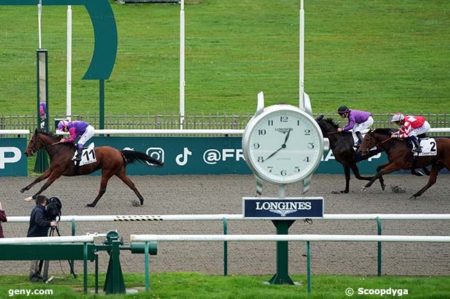 28/10/2024 - Chantilly - Prix de la Forêt de Coye : Arrivée