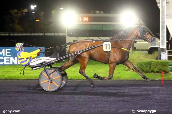 15/11/2024 - Vincennes - Prix Campanus : Arrivée