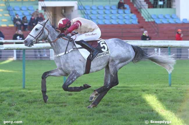 29/11/2024 - Compiègne - Prix Léopold d'Orsetti - Grande Course de Haies de Compiègne : Arrivée