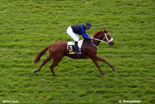 28/10/2008 - Compiègne - Prix des Frondaisons : Arrivée