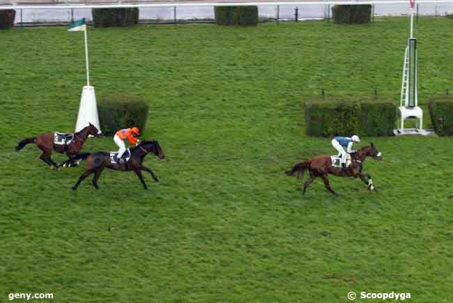 23/11/2008 - Auteuil - Prix Bernard de Dufau : Arrivée