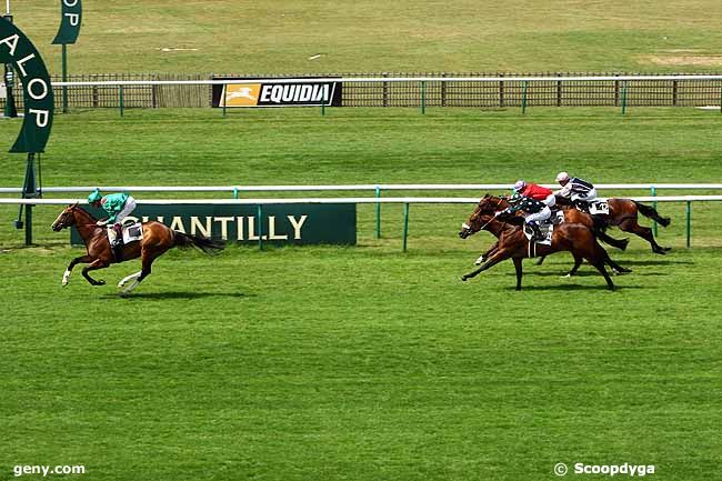 19/06/2009 - Chantilly - Prix de la Croix des Ormeaux : Arrivée