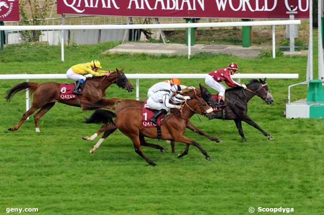 02/10/2009 - Saint-Cloud - Qatar French Arabian Breeders'Challenge : Result