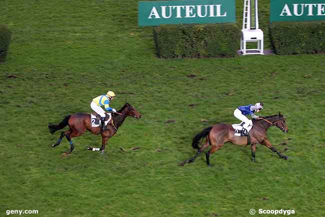 21/11/2010 - Auteuil - Prix Métatéro : Arrivée