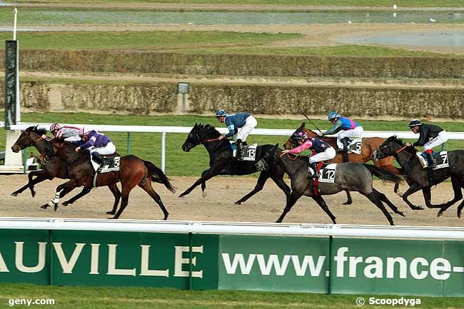 11/01/2011 - Deauville - Prix de la Chardenière : Arrivée