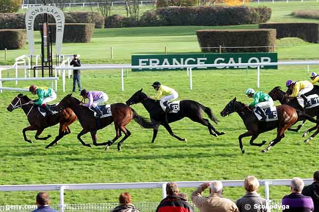 10/11/2011 - Maisons-Laffitte - Prix d'Arcueil : Arrivée