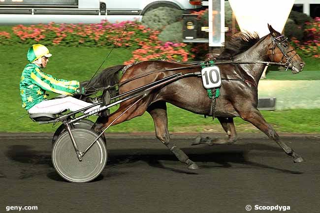 01/10/2013 - Vincennes - Prix Dione : Ankunft