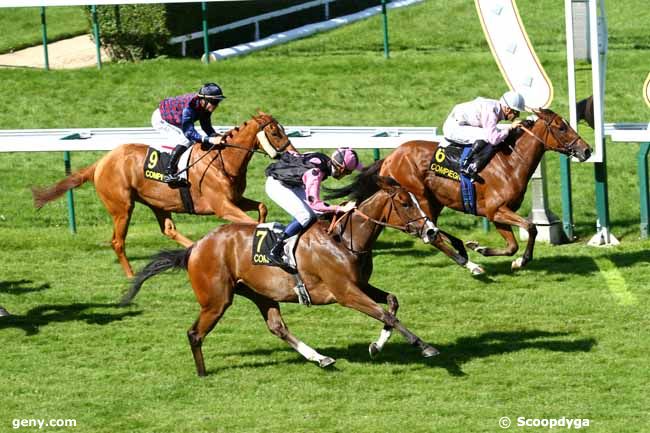 06/06/2014 - Compiègne - Prix de Champignol : Ankunft