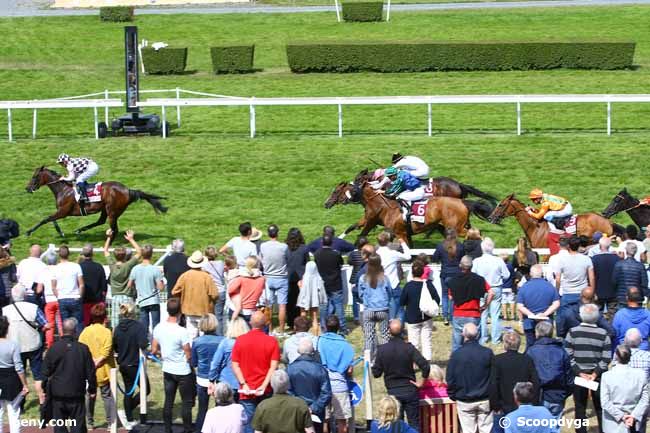 11/08/2017 - Clairefontaine-Deauville - Prix Luth Enchantée- Fonds Européen de l'Elevage : Ankunft