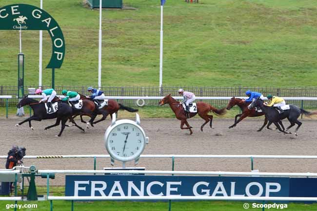 10/11/2020 - Chantilly - Prix de la Croix Marquet : Arrivée