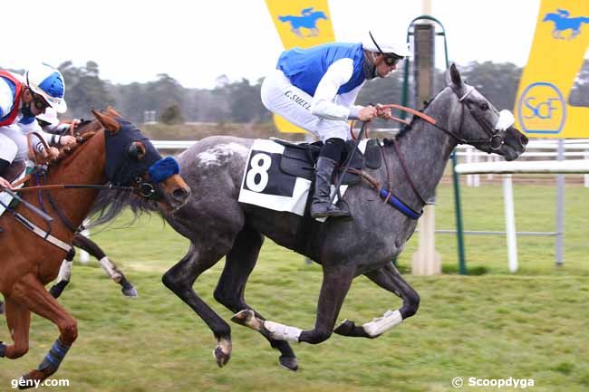 20/04/2021 - Fontainebleau - Prix de la Tour Dénécourt : Arrivée