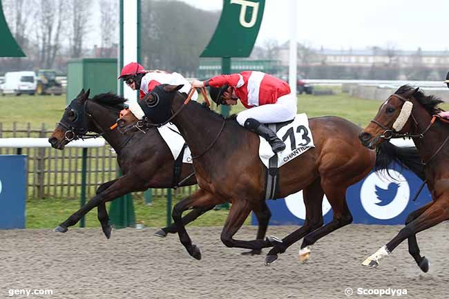 11/02/2023 - Chantilly - Prix du Carrefour du Chapitre : Arrivée