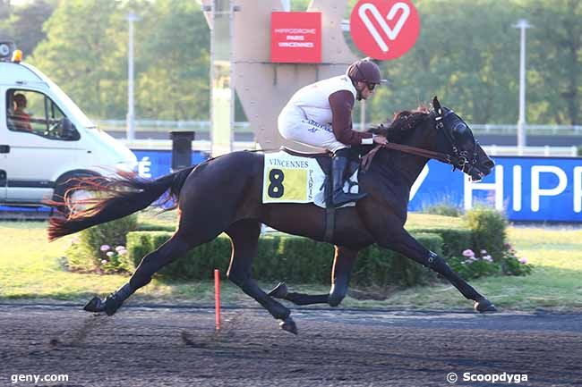 06/06/2023 - Vincennes - Prix Cygnus : Arrivée