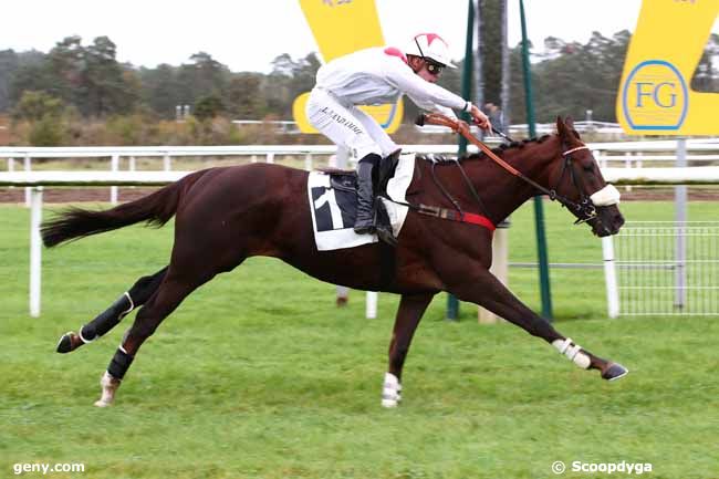 26/10/2023 - Fontainebleau - Prix André Parot : Arrivée