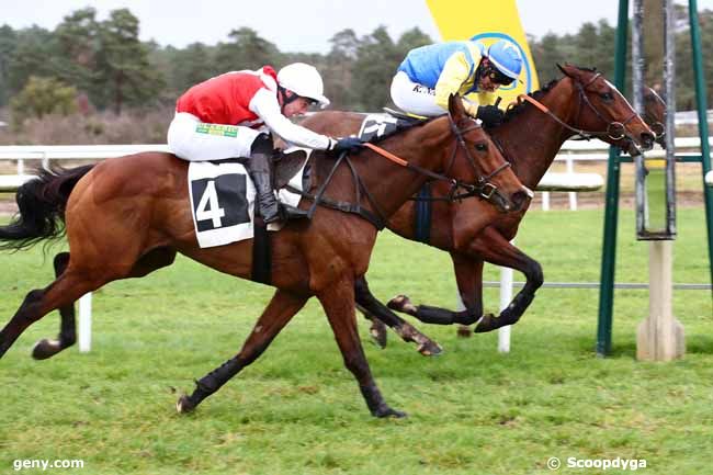 12/12/2023 - Fontainebleau - Prix de Fontainebleau Cheval (Prix des Roseaux) : Arrivée