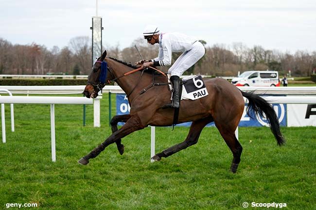 02/01/2024 - Pau - Prix de Saint-Armou : Arrivée