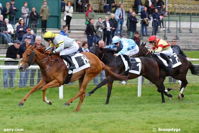 03/05/2024 - Fontainebleau - Prix des Noisetiers : Arrivée