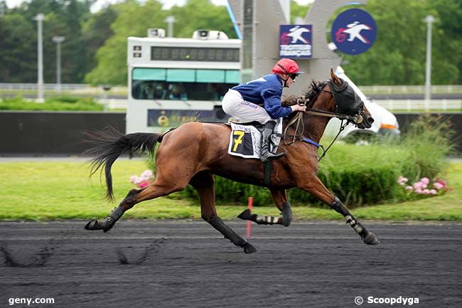 18/06/2024 - Vincennes - Prix Chaldaea : Arrivée