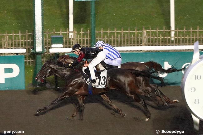 17/10/2024 - Chantilly - Prix de Chaumont : Arrivée